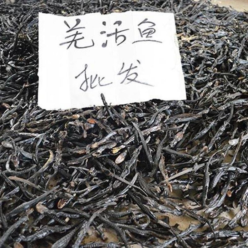 红杉鱼，羌活鱼，道地药材产地直供，药典标准一件100克
