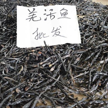 红杉鱼，羌活鱼，道地药材产地直供，药典标准一件100克