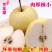 河北雪花梨果批发整箱5斤10斤当季新鲜冰糖雪梨脆甜梨子