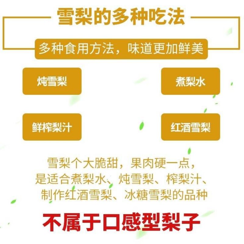河北雪花梨果批发整箱5斤10斤当季新鲜冰糖雪梨脆甜梨子
