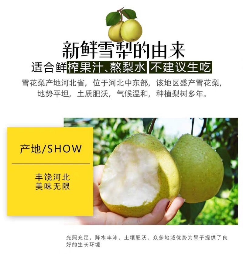 河北雪花梨果批发整箱5斤10斤当季新鲜冰糖雪梨脆甜梨子