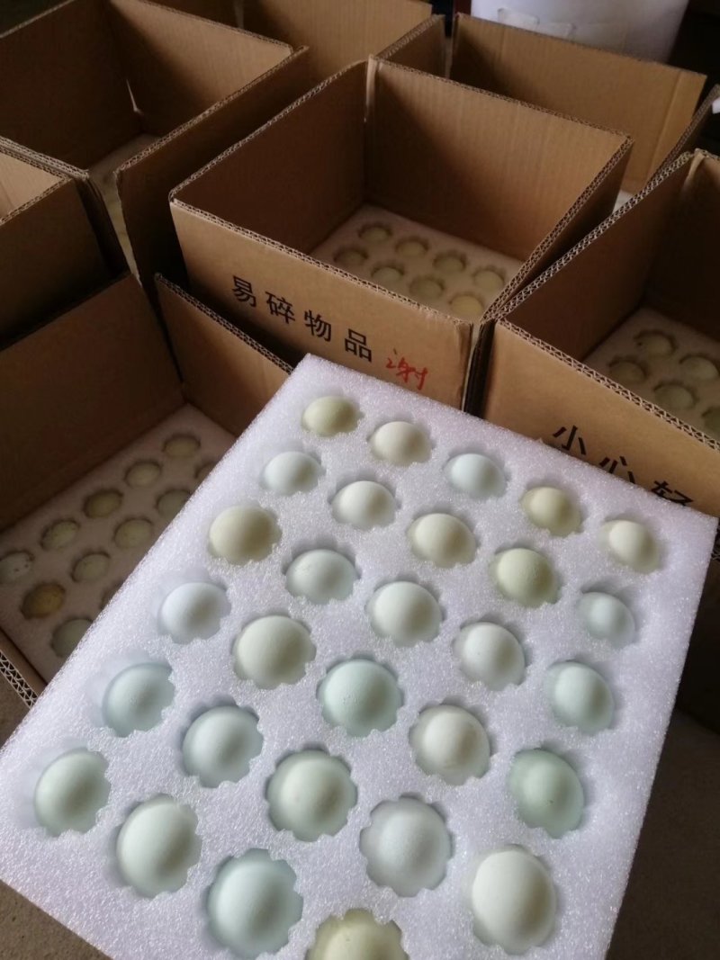 盐津乌骨黑鸡五黑鸡种蛋种蛋全国包邮包破损