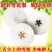 河北雪花梨果批发整箱5斤10斤当季新鲜冰糖雪梨脆甜梨子