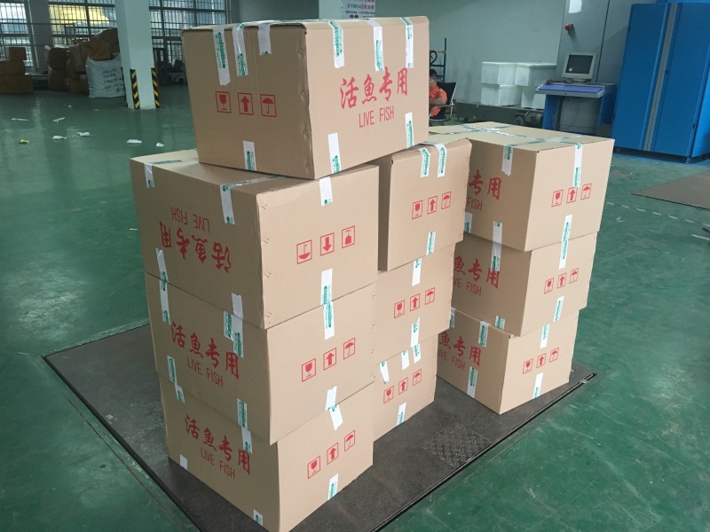 鮰鱼苗_斑点叉尾鮰鱼苗_叉尾鱼苗『苗场直供』