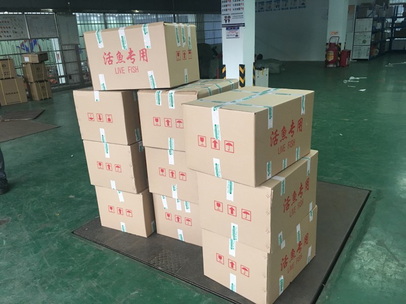 鮰鱼苗_斑点叉尾鮰鱼苗_叉尾鱼苗『苗场直供』