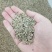冬牧70黑麦草种子宽叶秋冬麦草耐寒高产蓄牧草猪牛羊鸡鸭鹅