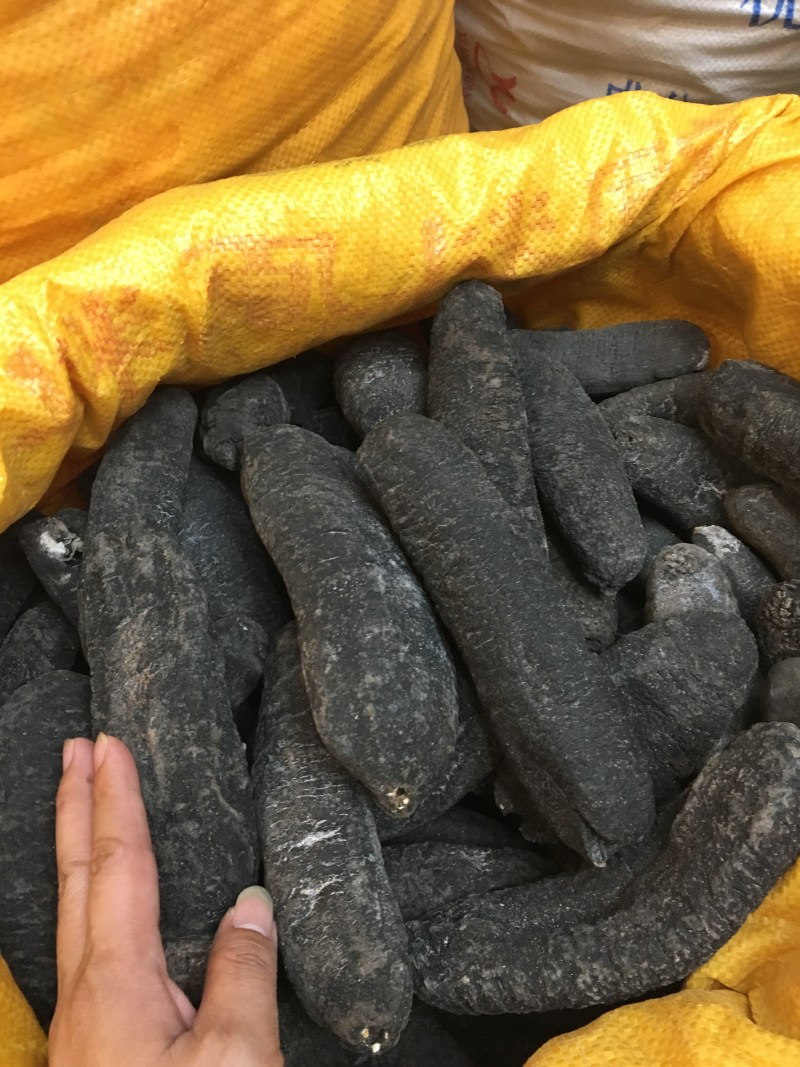 海参乌枣参大乌参乌仁参淡干深海参不苦不麻泡发厚酒店食