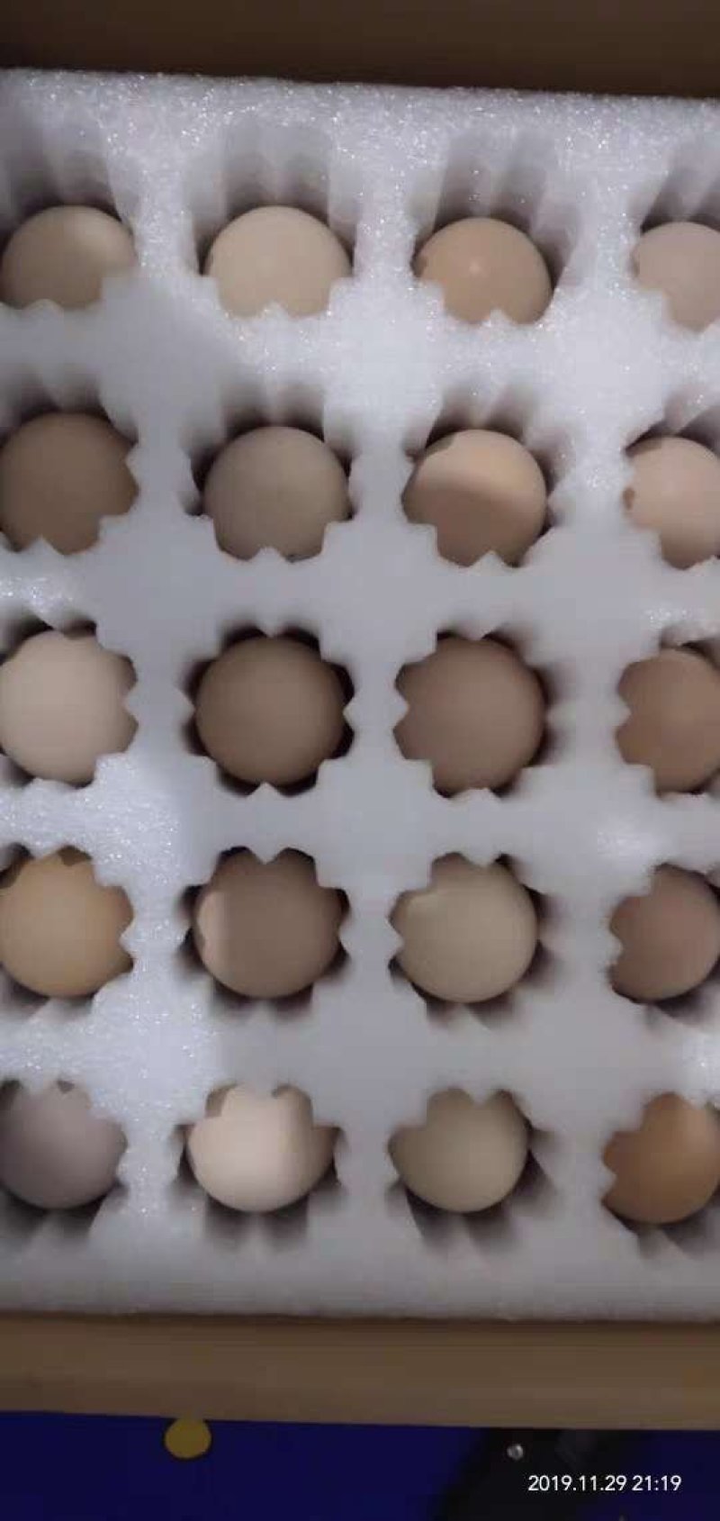 正宗红瑶，铁麻，土鸡种蛋，蛋托发货，出壳率85%以上