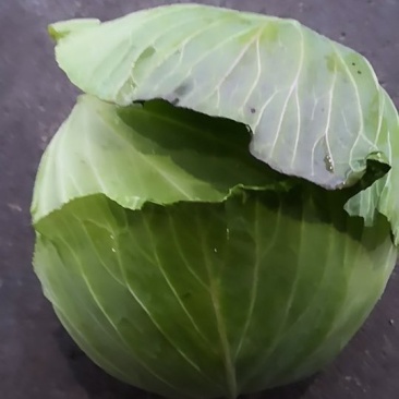 量大，欢迎来电骚扰