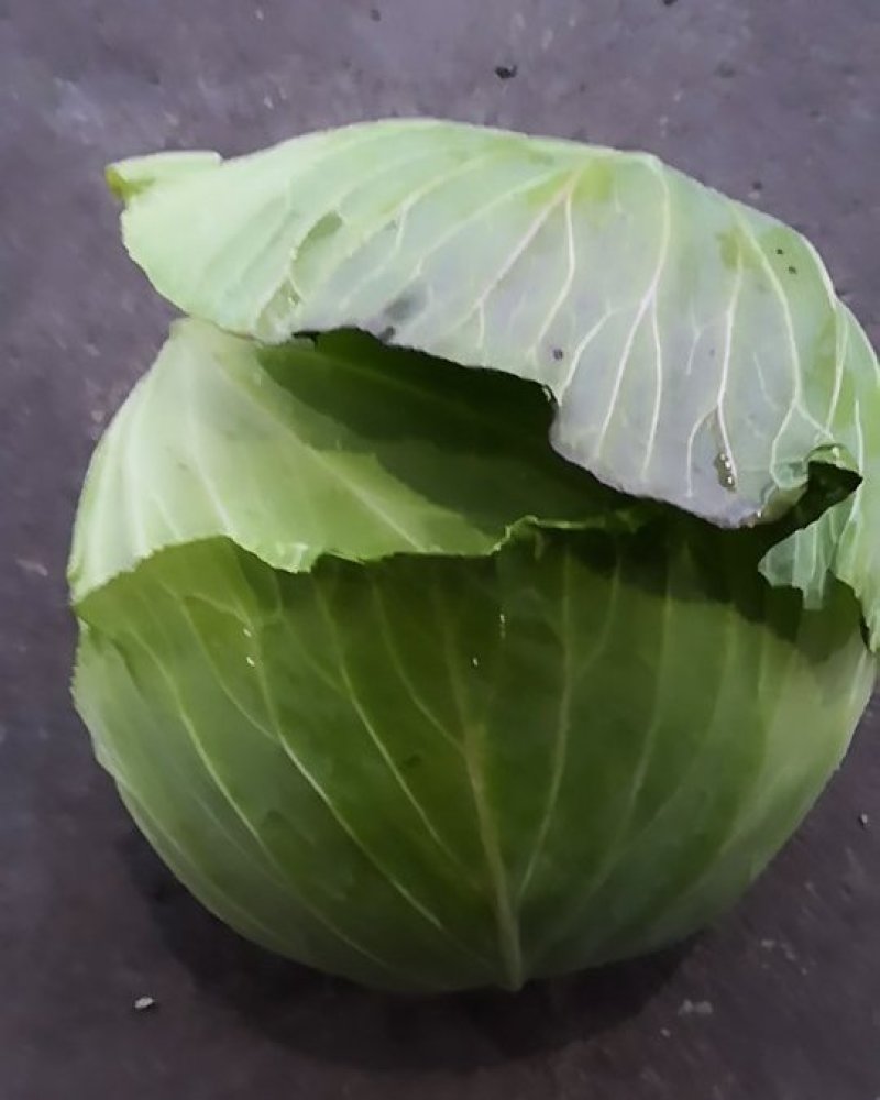 量大，欢迎来电骚扰