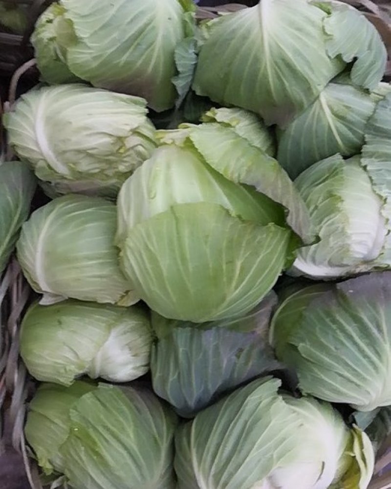 量大，欢迎来电骚扰