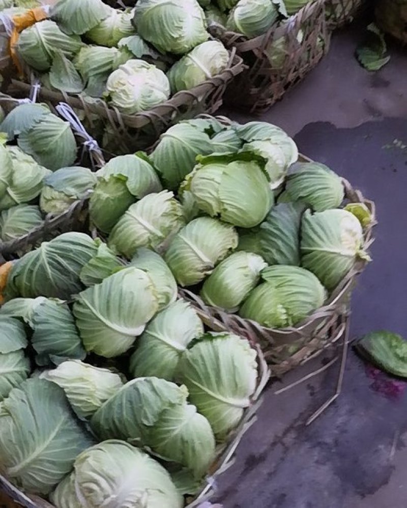 量大，欢迎来电骚扰