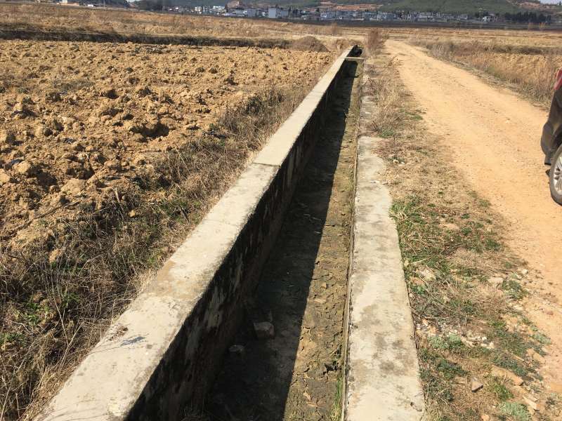 250亩水田出租，适合育苗，种蔬菜