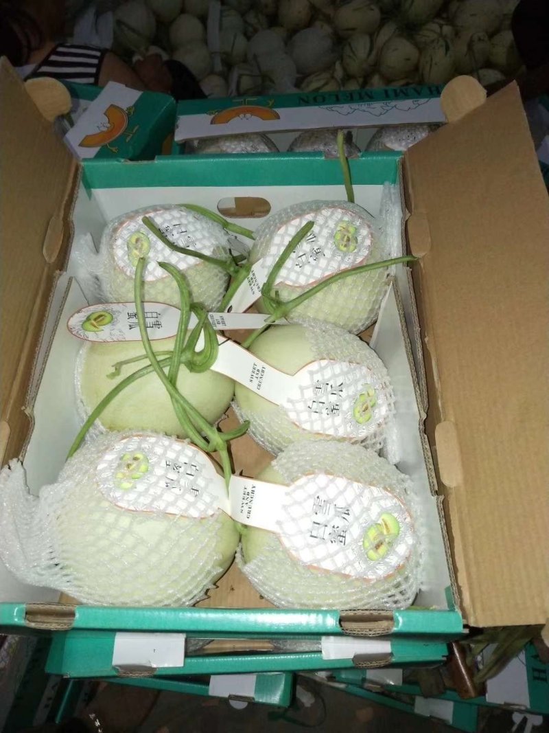 冰淇淋玉姑对接市场批发，零售，一件代发及挂链接