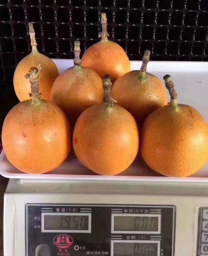 【正品苗】百香果苗西番莲苗香蕉百香果苗绿皮百香果绿皮