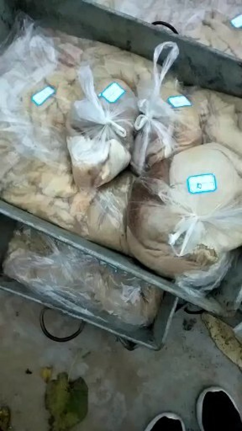 基地养殖现杀马板肠，反复清洗，可视频看货，支持线上交易