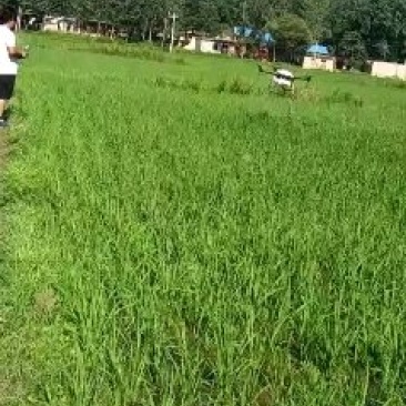 无人机打药
