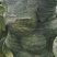 莲花白，松包，软包，大头菜，扁包菜，铁头菜，甘南