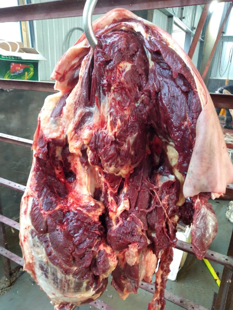 现杀嫩口带皮马肉，基地养殖，一手货源无中间商支持线上交易