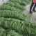 绿龙芸豆精品芸豆货原稳定
