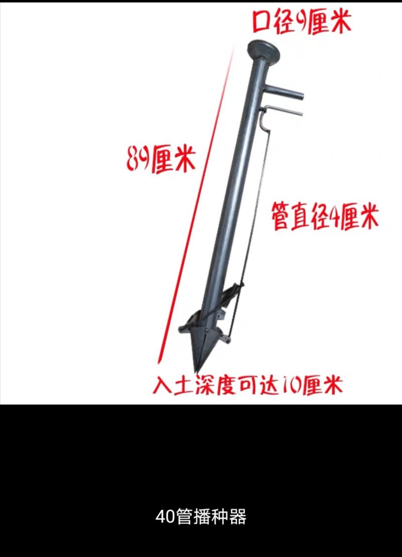 栽苗器