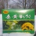【包邮】桑黄北朝鲜野生特级桑黄灵芝桑树桑黄