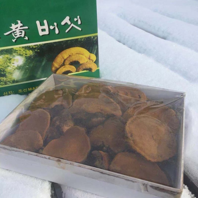 【包邮】桑黄北朝鲜野生特级桑黄灵芝桑树桑黄