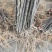 果苗基地黑钻苹果苗南北适种新品种耐寒耐旱死苗补发