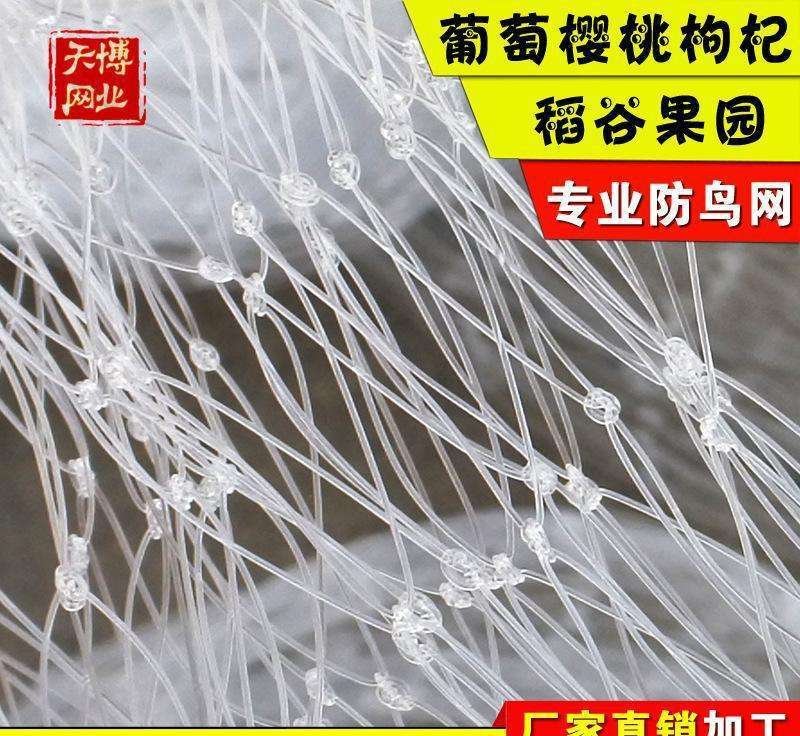 防鸟网，尼龙材质