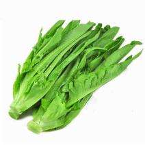 油麦菜