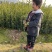 高产量嫁接油茶苗便宜卖了