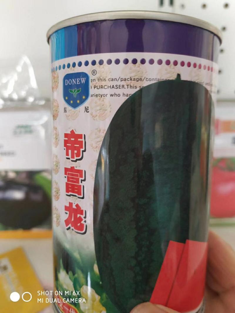 龙卷风西瓜种子帝富龙中早熟抗重茬可稀植懒种植品质好
