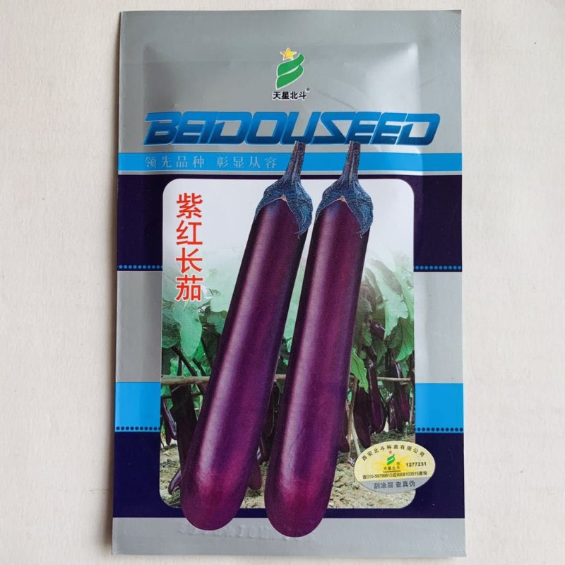 紫红长茄种子耐热耐湿抗病采收期长春夏秋栽培茄子种子