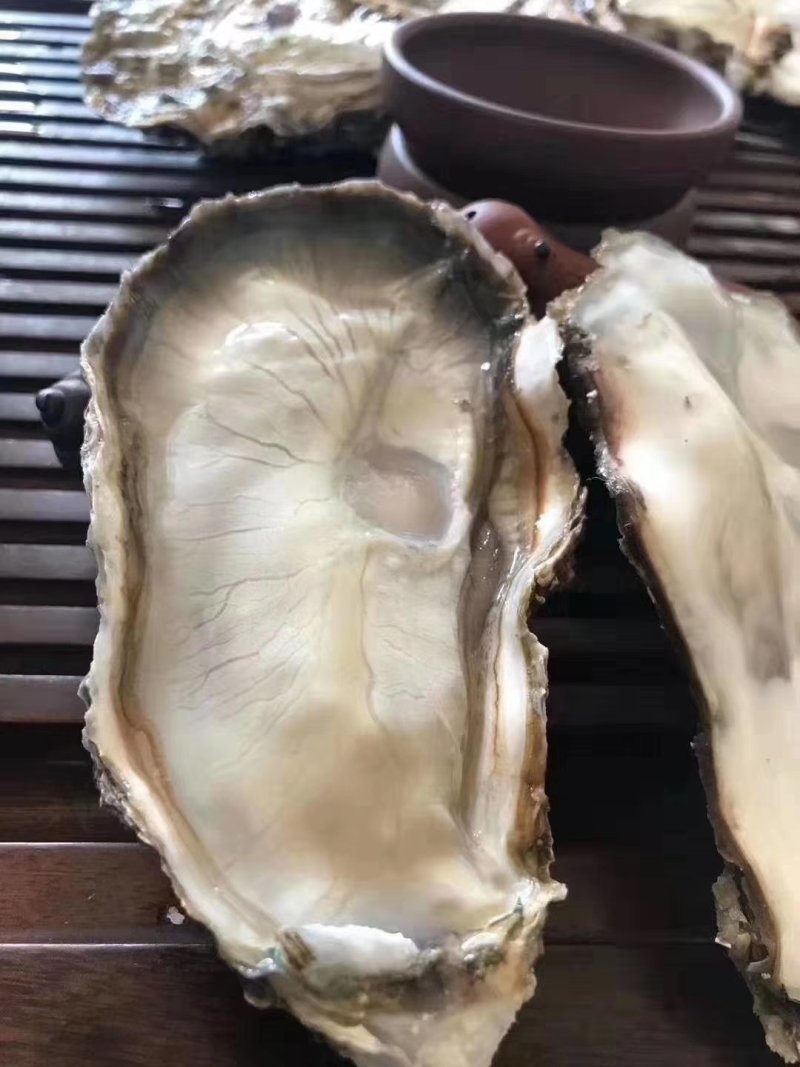 速冻半壳生蚝，生蚝，半壳生蚝，半壳牡蛎