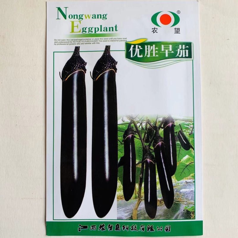 优胜早茄茄子种子黑紫色茄子墨茄种子丰产抗病早熟茄子种
