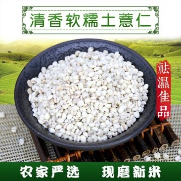 优良农家自种石城糯性薏仁米苡仁米