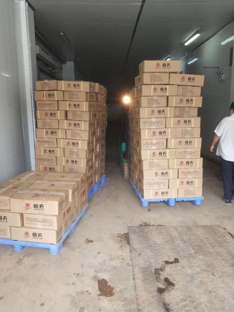 开背鲈鱼白蕉海鲈鱼厂家一手供应欢迎下单咨询