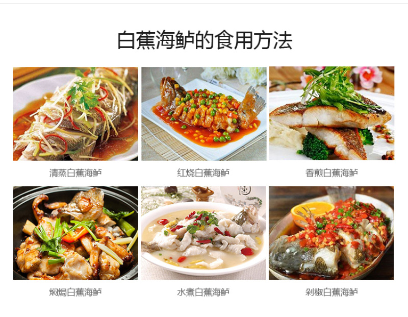 开背鲈鱼白蕉海鲈鱼厂家一手供应欢迎下单咨询