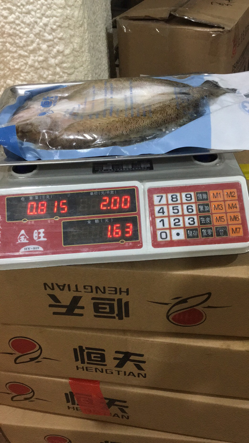 开背鲈鱼白蕉海鲈鱼厂家一手供应欢迎下单咨询