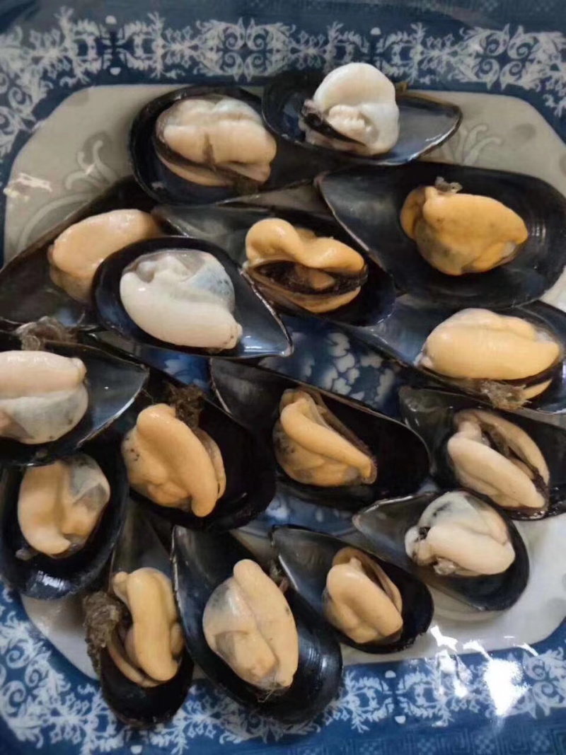 生蚝