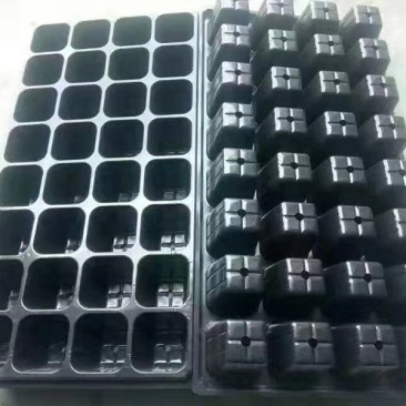 育苗穴盘，千里万里莘县等你