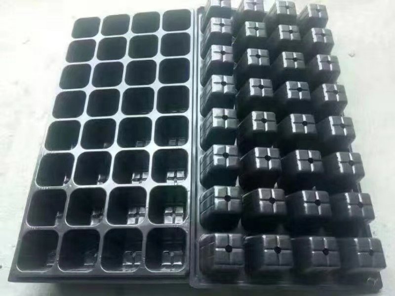 育苗穴盘，千里万里莘县等你