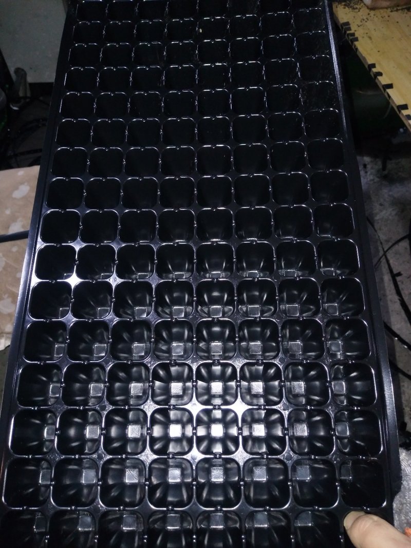 育苗穴盘，千里万里莘县等你