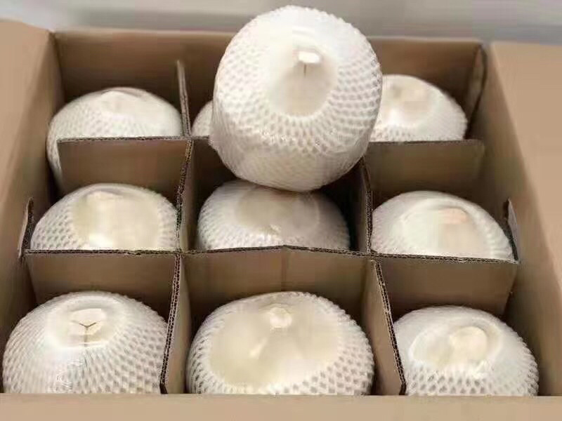 海南椰青九个顺丰包邮