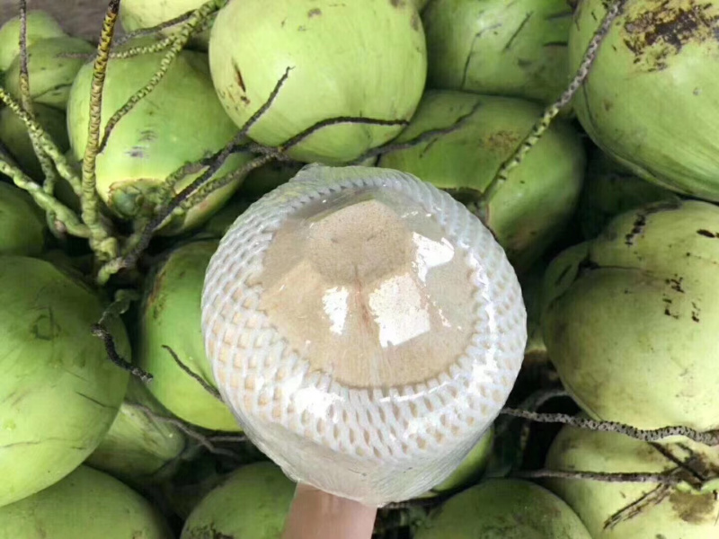 海南椰青九个顺丰包邮