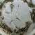 泥鳅鱼苗自孵水花规格齐全全国包邮包活