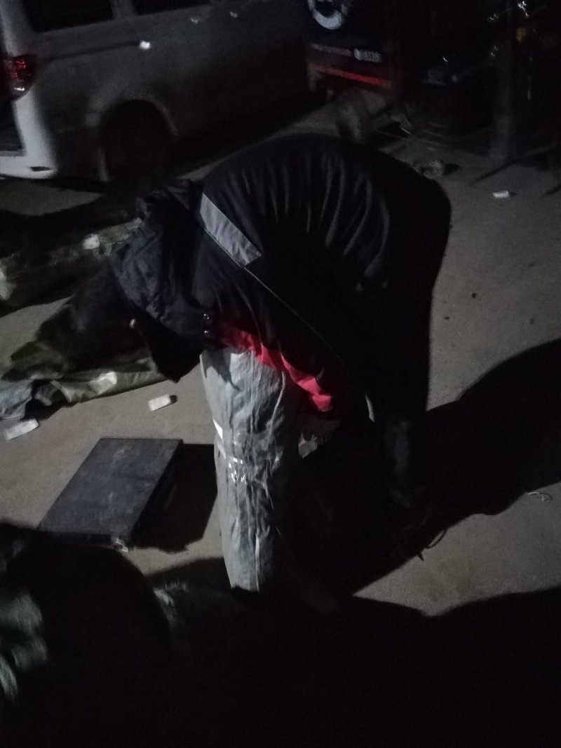 金葵砂糖橘苗，早熟砂糖橘苗，无核砂糖橘苗，包品种