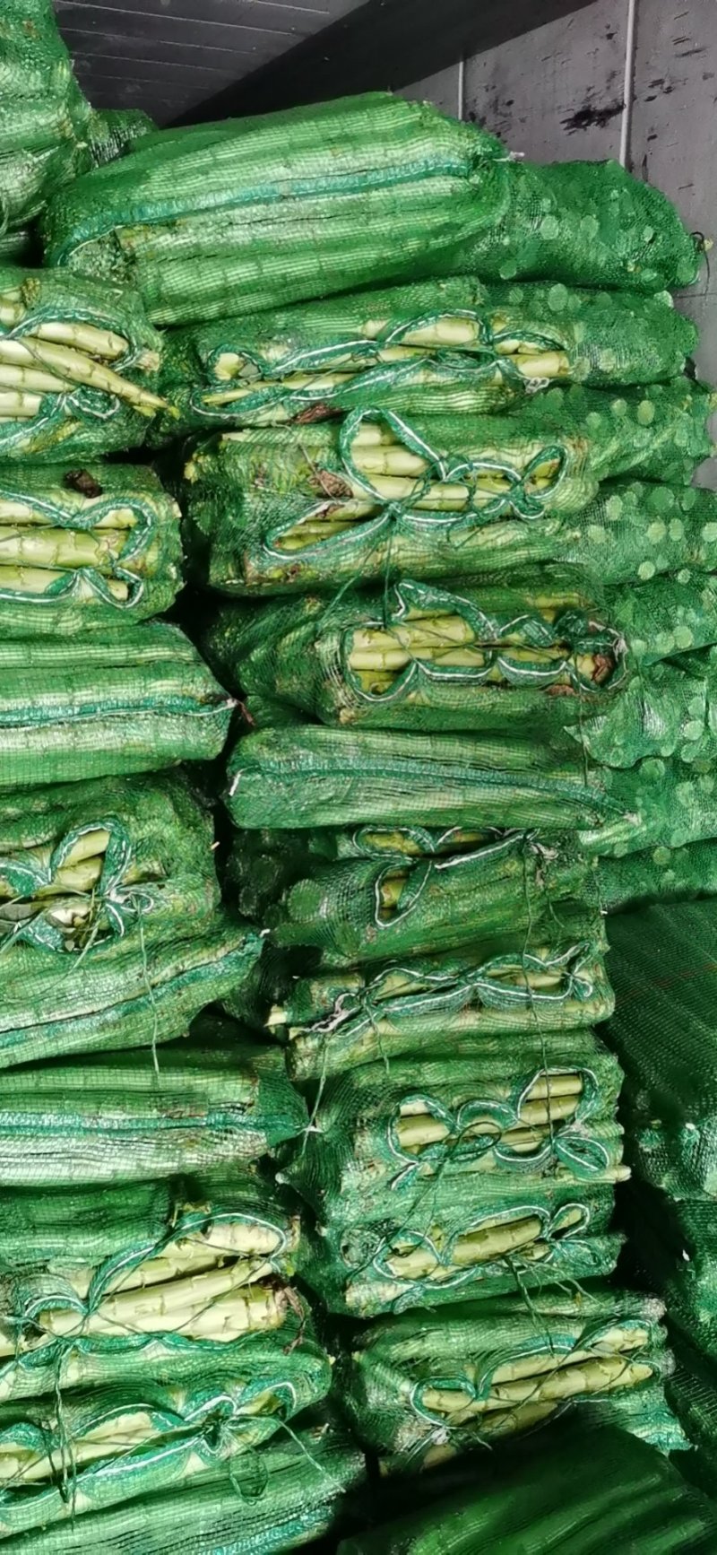 精品棒子，皮薄肉多颜色绿，货源充足，产地直发