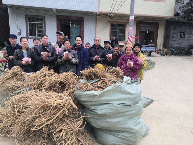 农场（适合亲子乐园开发，田园综合体开发，养生项目开发）