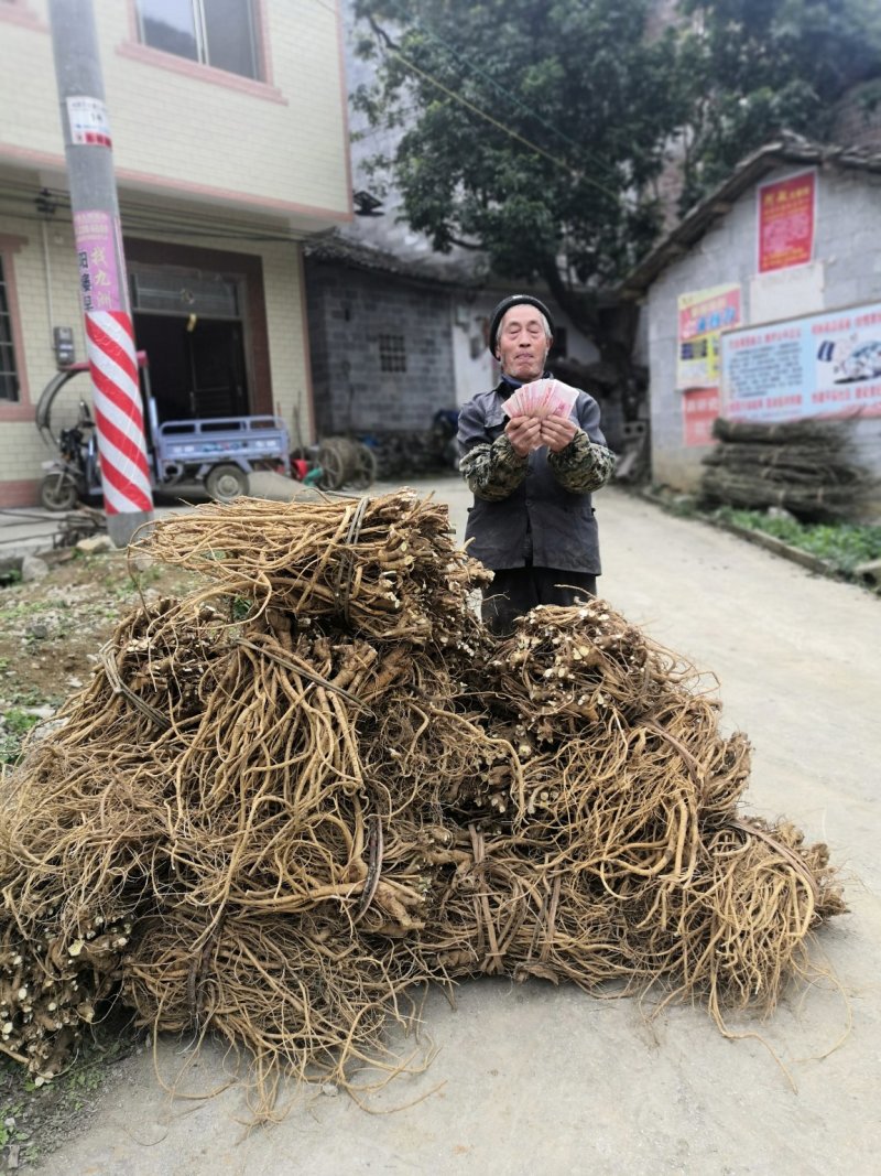 农场（适合亲子乐园开发，田园综合体开发，养生项目开发）